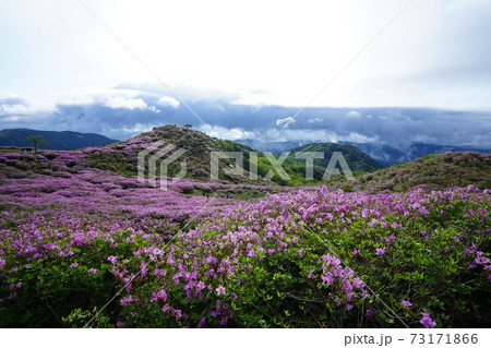 雲 空 グリーン 73171866