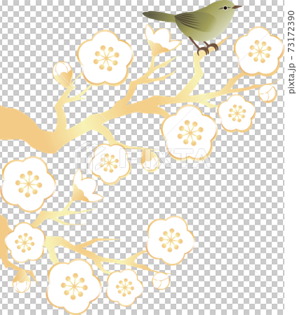 Uguisu梅梅梅梅Hana春天插圖素材 73172390