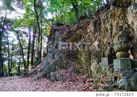 飯能　天覧山　十六羅漢石仏 73172825