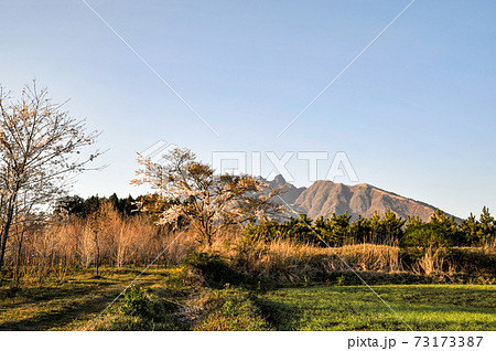 阿蘇に咲く桜の花と根子岳の風景 阿蘇に咲く桜の花と根子岳の風景 73173387