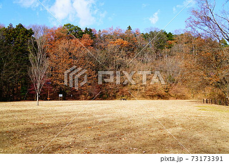 飯能アルプス　丘の上公園 73173391