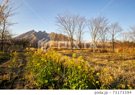 阿蘇に咲く桜の花と根子岳の風景 73173394