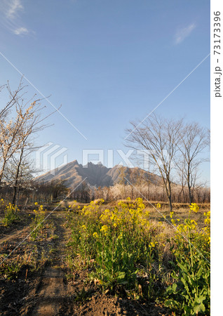 阿蘇に咲く桜の花と根子岳の風景 73173396
