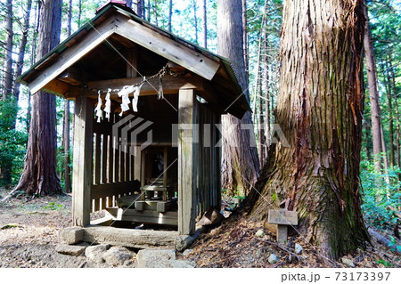 飯能アルプス　久須美山 73173397