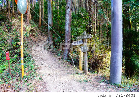 飯能アルプス 東峠 飯能アルプス 東峠 73173401