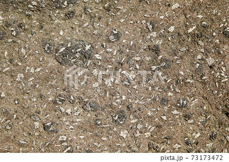 富士山の溶岩 富士宮市沼久保 富士山の溶岩 富士宮市沼久保 73173472