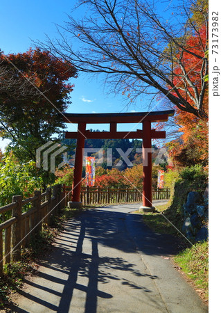 御岳山の天空のもみじまつり 御岳山の天空のもみじまつり 73173982