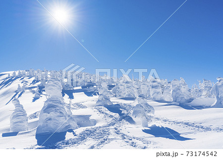 山形蔵王の樹氷と青空 山形県山形市 山形蔵王の樹氷と青空 山形県山形市 73174542