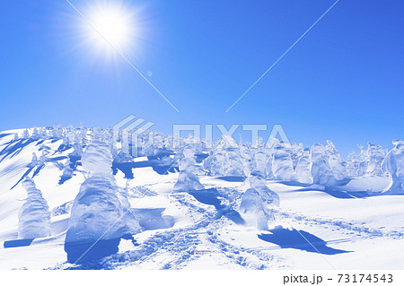 山形蔵王の樹氷と青空 山形県山形市 山形蔵王の樹氷と青空 山形県山形市 73174543
