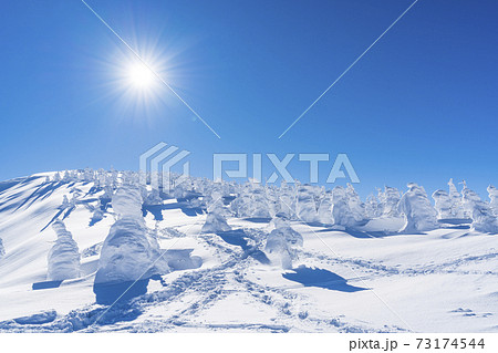 山形蔵王の樹氷と青空 山形県山形市 山形蔵王の樹氷と青空 山形県山形市 73174544