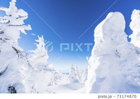 山形蔵王の樹氷と青空 山形県山形市 山形蔵王の樹氷と青空 山形県山形市 73174870