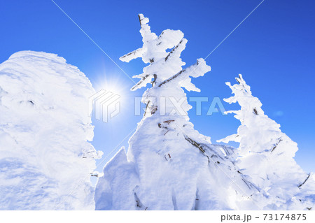 山形蔵王の樹氷と青空　山形県山形市 73174875
