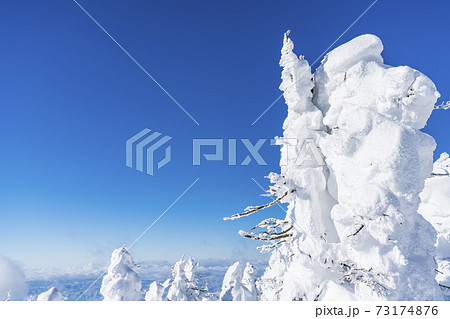 山形蔵王の樹氷と青空　山形県山形市 73174876
