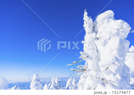 山形蔵王の樹氷と青空　山形県山形市 73174877