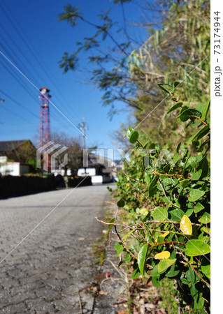三角西港の近くの石だたみ道 73174944