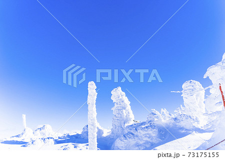 山形蔵王の樹氷と青空 山形県山形市 山形蔵王の樹氷と青空 山形県山形市 73175155