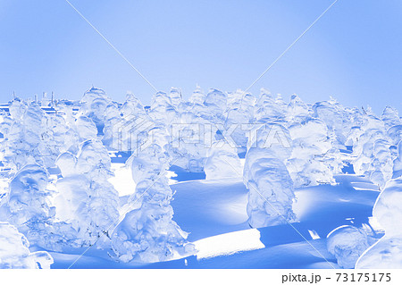 山形蔵王の樹氷と青空 山形県山形市 山形蔵王の樹氷と青空 山形県山形市 73175175