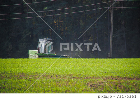 The combine harvester drives along a wheat field, selective focus 73175361