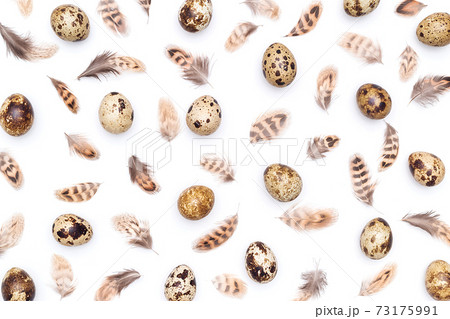 Pattern made with quail eggs and bird feathers on a white background. Top view Flat lay 73175991