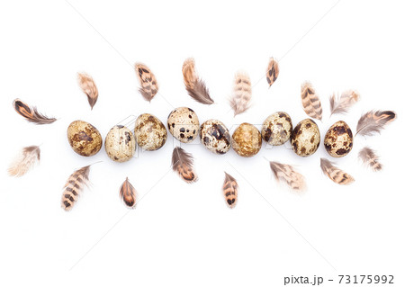 Quail eggs and bird feathers on a white background. Top view Flat lay Copy space 73175992