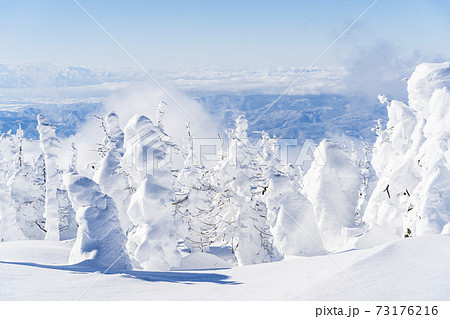 山形蔵王の樹氷と青空 山形県山形市 山形蔵王の樹氷と青空 山形県山形市 73176216
