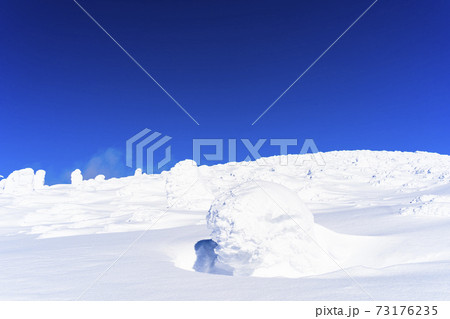 山形蔵王の樹氷と青空 山形県山形市 山形蔵王の樹氷と青空 山形県山形市 73176235