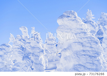 山形蔵王の樹氷と青空　山形県山形市 73176266
