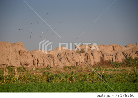 Kashan old city walls in Iran Kashan old city walls in Iran 73176566