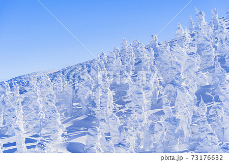 山形蔵王の樹氷と青空　山形県山形市 73176632
