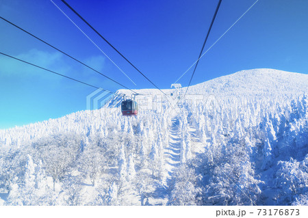 蔵王ロープウェイと山形蔵王の樹氷 山形県山形市 蔵王ロープウェイと山形蔵王の樹氷 山形県山形市 73176873