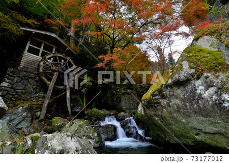 半田岩の秋1（徳島県三好市山城町頼広） 73177012