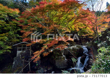 半田岩の秋2(徳島県三好市山城町頼広) 半田岩の秋2(徳島県三好市山城町頼広) 73177013