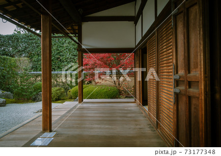 秋の京都、紫野の大徳寺塔頭 興臨院の庭園	 73177348