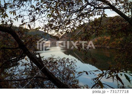 滝畑ダム 73177718