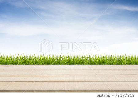 wood table top panel, grass and sky background 73177818