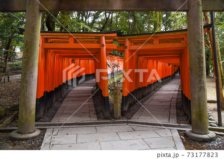 Fushimi Inari shrine in Kyoto, Japan 73177823