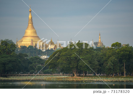 Shwedagon pagoda from kandawgyi lake, Yangon, Myanmar Shwedagon pagoda from kandawgyi lake, Yangon, Myanmar 73178320
