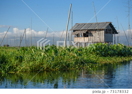 Traditional house and floating garden on Inle lake, myanmar 73178332