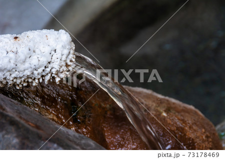 温泉の蛇口と湯の花 73178469