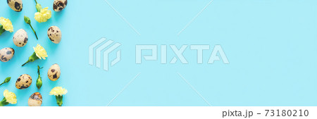 Spring floral and eggs border. Yellow flowers and quail eggs on blue background with copy space. Creative Flat lay Top view Banner. Happy Easter, zero waste concept 73180210
