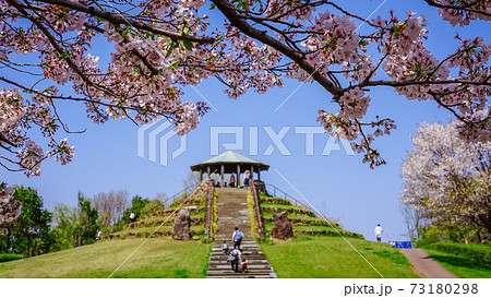 春の公園　「神奈川県立四季の森公園」の桜に囲まれた展望広場 73180298