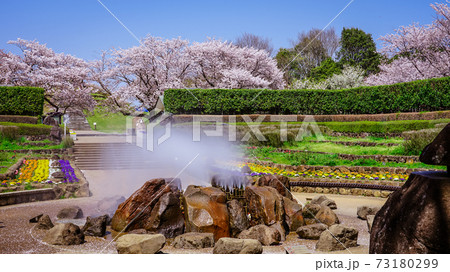 春の公園　「神奈川県立四季の森公園」の南口広場（噴水広場） 73180299