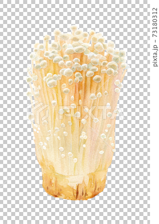 秋の食材：きのこ。エノキダケの水彩イラスト 73180312