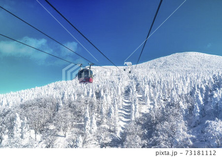 蔵王ロープウェイと山形蔵王の樹氷 山形県山形市 蔵王ロープウェイと山形蔵王の樹氷 山形県山形市 73181112