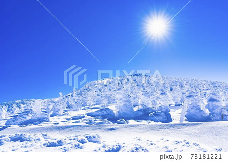 山形蔵王の樹氷と青空　山形県山形市 73181221