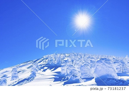 山形蔵王の樹氷と青空　山形県山形市 73181237