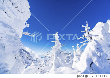 山形蔵王の樹氷と青空 山形県山形市 山形蔵王の樹氷と青空 山形県山形市 73181415