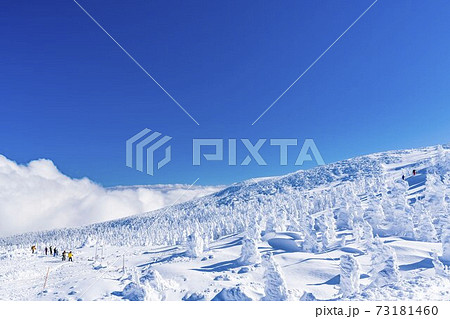 山形蔵王の樹氷と青空　山形県山形市 73181460