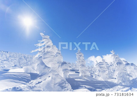 山形蔵王の樹氷と青空 山形県山形市 山形蔵王の樹氷と青空 山形県山形市 73181634