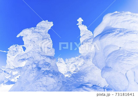 山形蔵王の樹氷と青空　山形県山形市 73181641